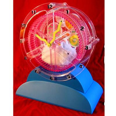Click to get The Remarkable Hamster Clock