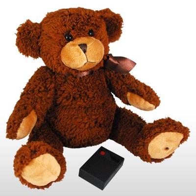 teddy bear remote control