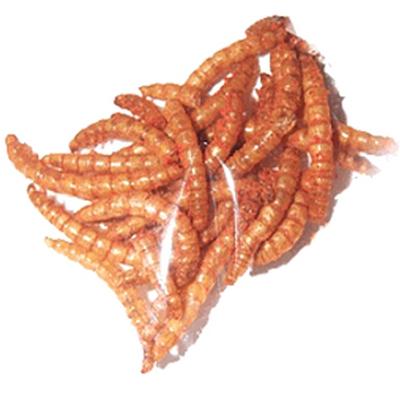 Click to get Delicious Larvets Real Larvae Snacks