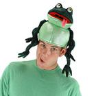 Croaker the Frog Hat
