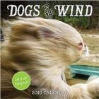 Dogs in the Wind Wall Calendar 2016