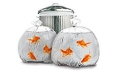 Goldfish Garbage Bag