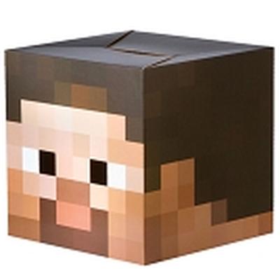 Click to get Minecraft Steve Box Head Mask
