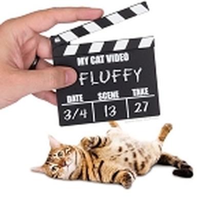 Click to get CAT VIDEO CLAPPER BOARD