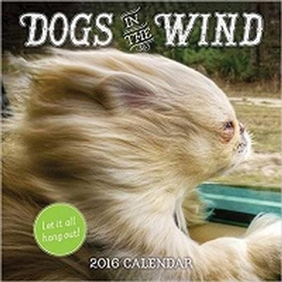 Click to get Dogs in the Wind Wall Calendar 2016