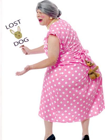 Click to get Lost Dog Costume
