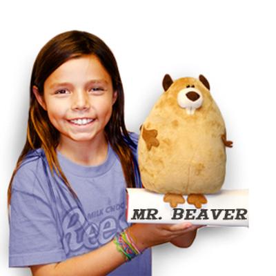 Click to get Stuff Your Own Beaver Kit