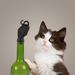 Kitty Wine Bottle Stopper